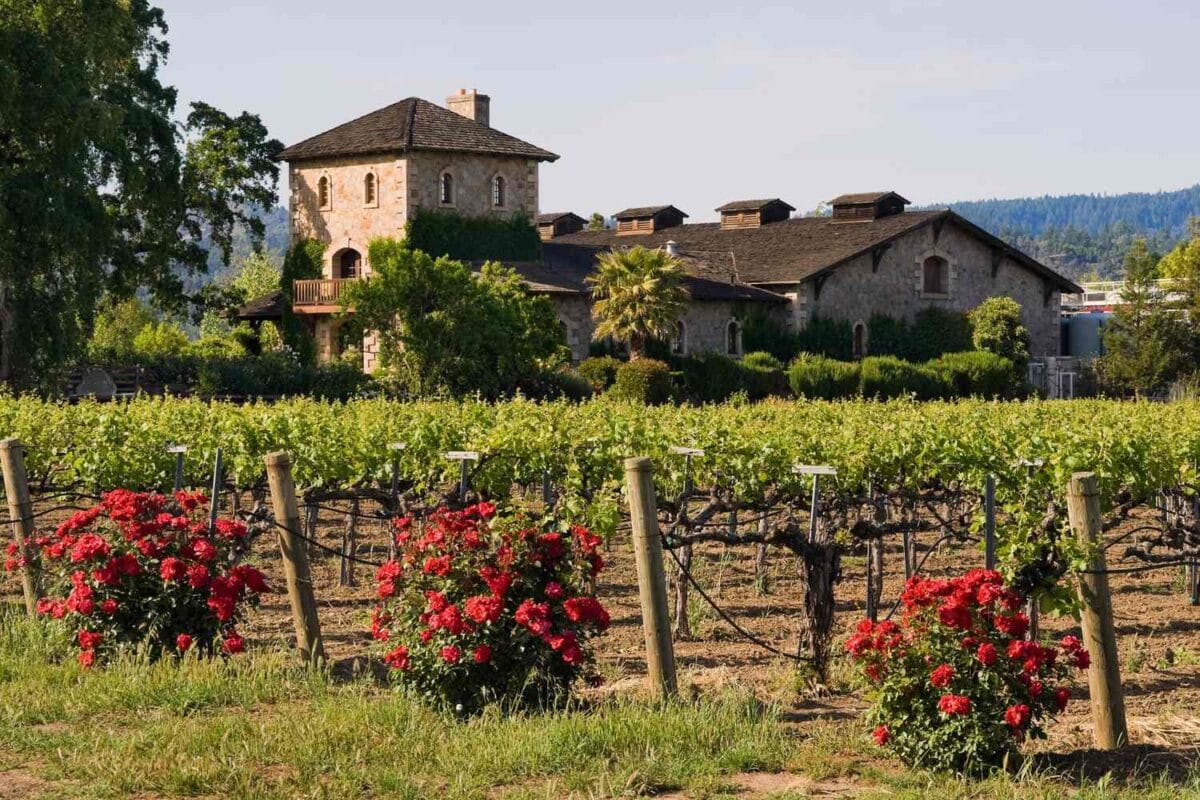 Historic-winery-among-grape-rows