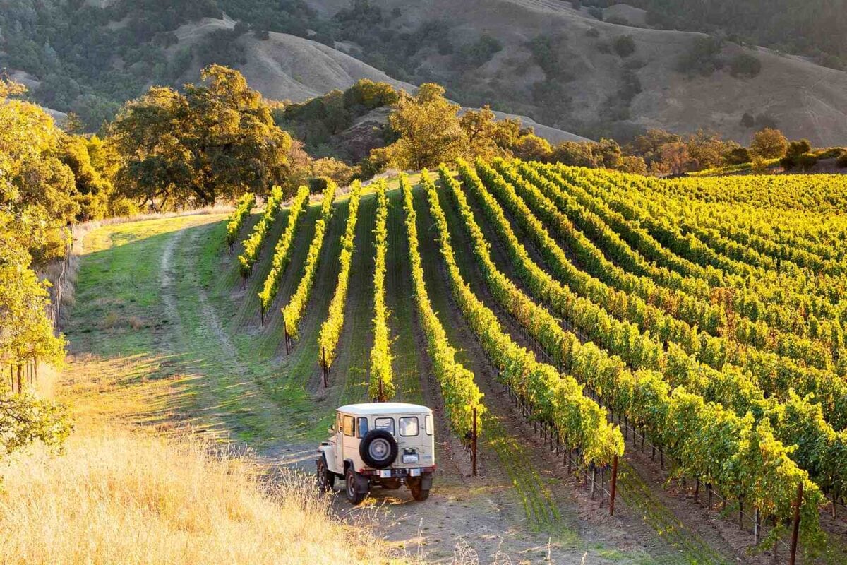 Rustic-jeep-tours-through-vines Best Sonoma wine tours