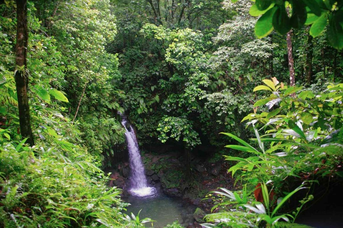 Middleham-Falls-Dominica