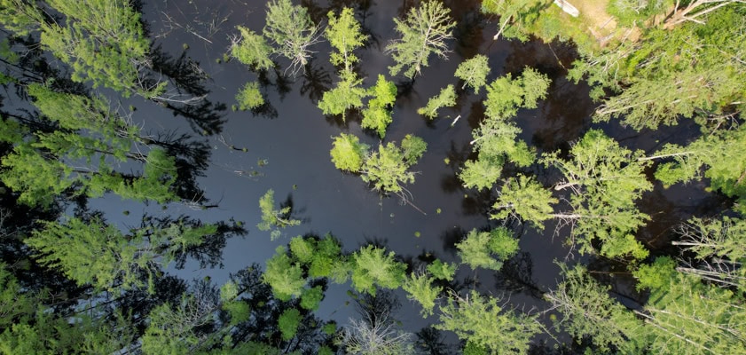 Things to Do in Natchitoches, LA