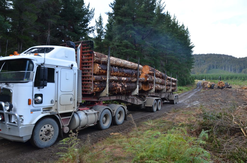 Norske Skog er blant selskapene som har gitt best avkastning i 2022. 