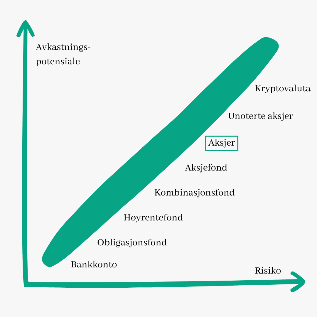 aksjer risiko portefølje