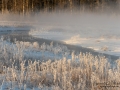 vinter_frost_sjorok_strommande_vatten_vinter_ingemar_pettersson_ls162