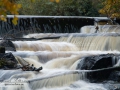 strombergsfallet_laxtrappa_ipnaturfoto_se_lok56