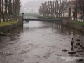 havsöring_lax_bavean_sportfiske_flugfiske_ipnaturfoto_se_fis91