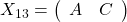 X_{13}=\left(\begin{array}{cc}A&C\end{array}\right)