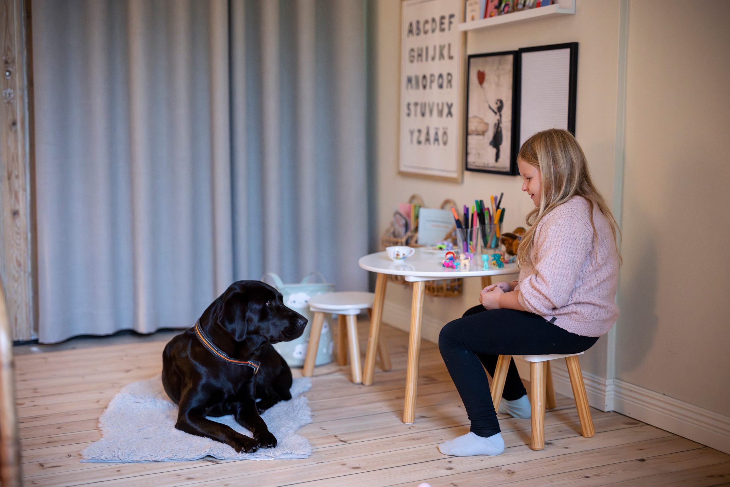 IRIS Markaryd mb photo