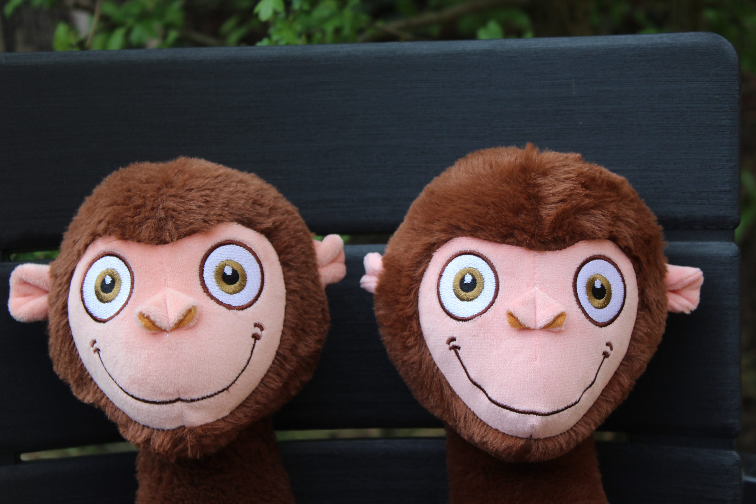 aap knuffel - Isabelle Gielen