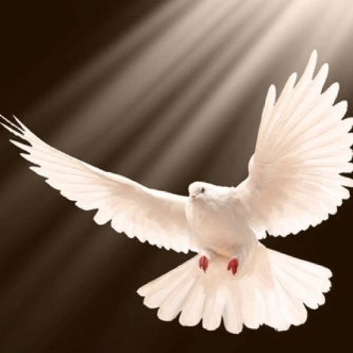 الوهیت روح القدس