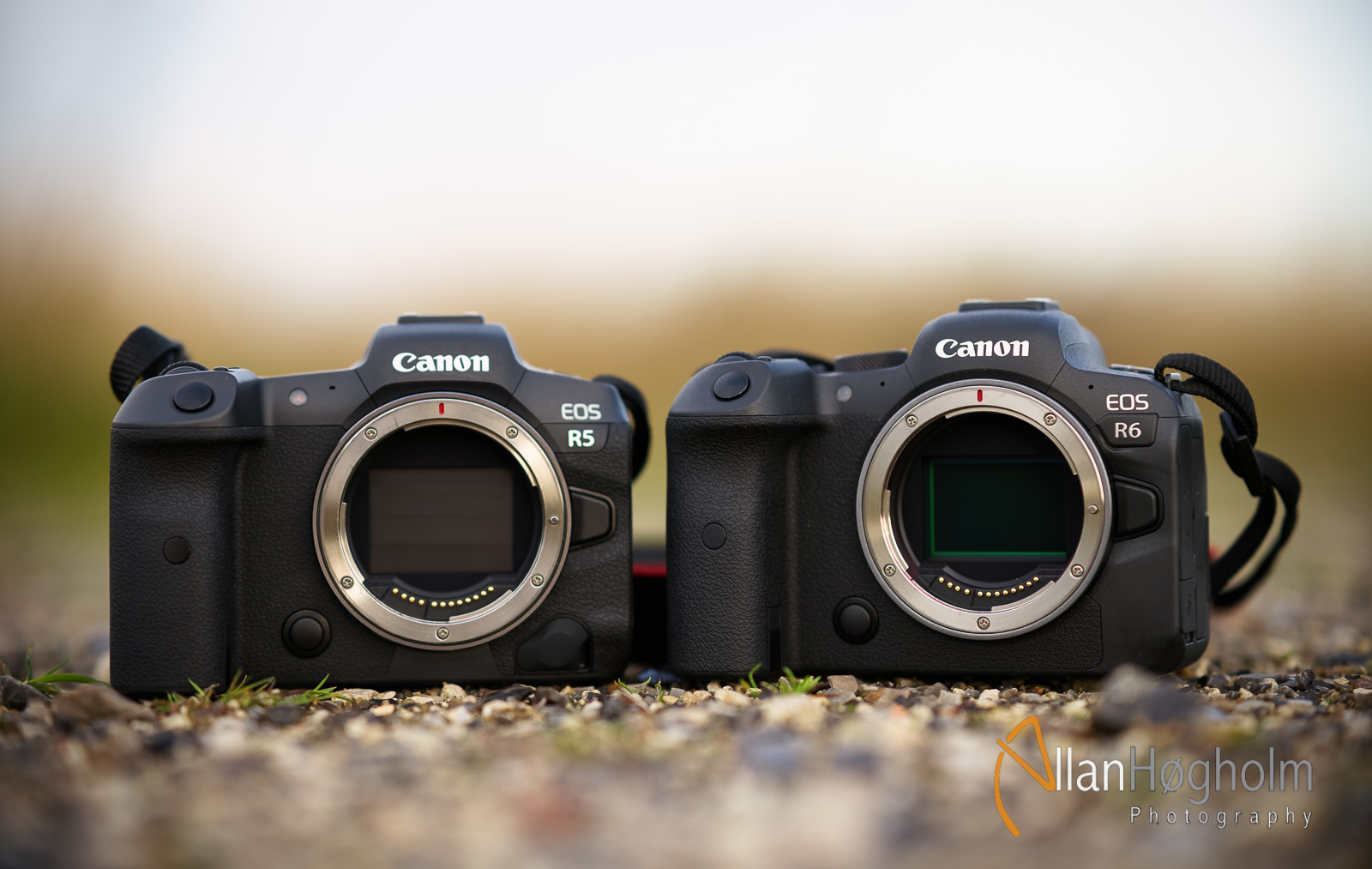Canon EOS R spejlløse kameraer