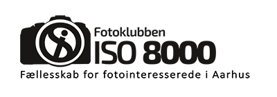 iso8000.dk logo