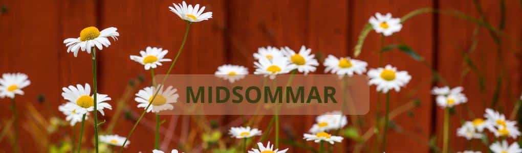 midsommar-nedir