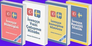 İsveççe Kitaplar