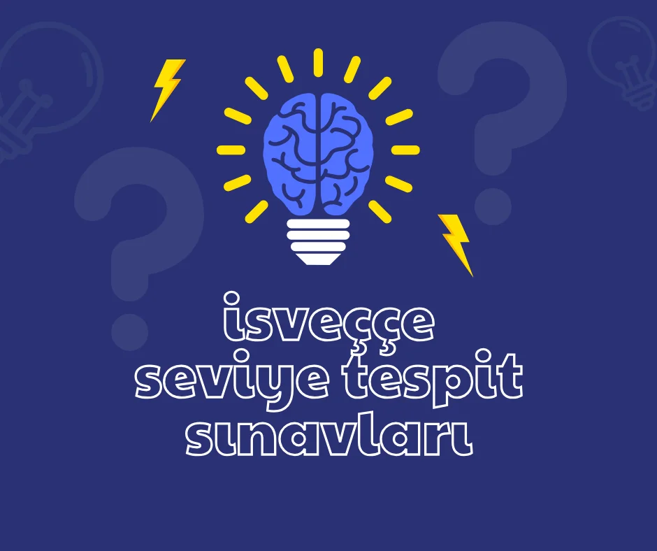 İsveççe Seviye Tespit