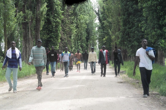 Cascina, alt della sindaca ad altri migranti: accoglienza diffusa..ma non troppo!