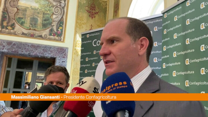 Giansanti “Serve un piano globale per l’alimentazione”