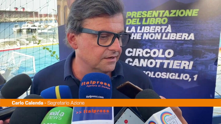 Pnrr, Calenda “Nel Mezzogiorno non ci saranno risultati”