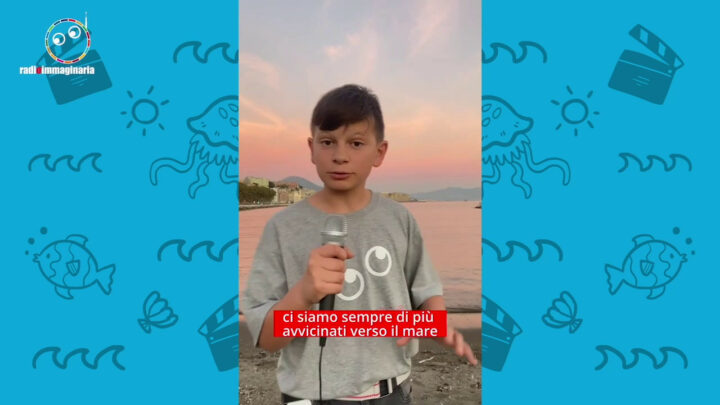 Le tartarughe ripopolano le spiagge ma per gli uccelli fa troppo caldo