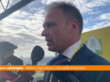 Manovra, Lollobrigida “Dall’Ue mi aspetto un giudizio rispettoso” Manovra, Lollobrigida “Dall’Ue mi aspetto un giudizio rispettoso”