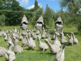 Alla scoperta dei giardini più originali della Maremma Toscana Alla scoperta dei giardini più originali della Maremma Toscana