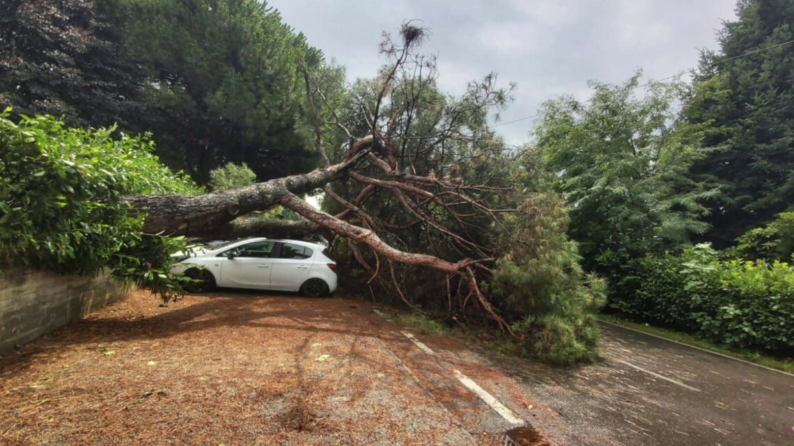 Bomba d’acqua in Brianza, a Bernareggio pino cade su auto in sosta