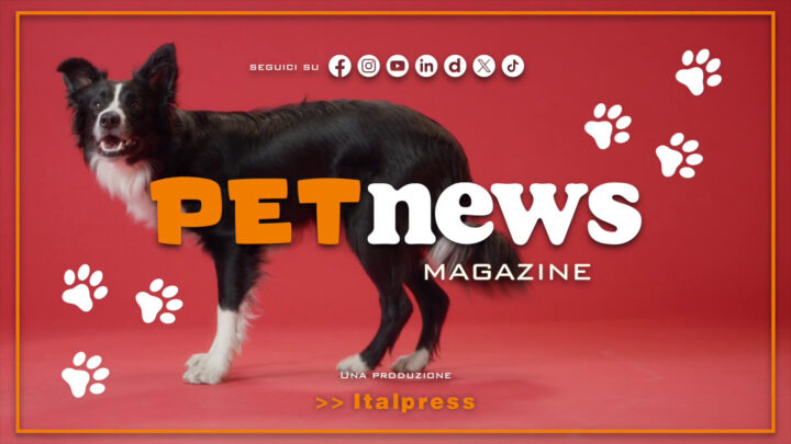 PetNews Magazine – 9/6/2025