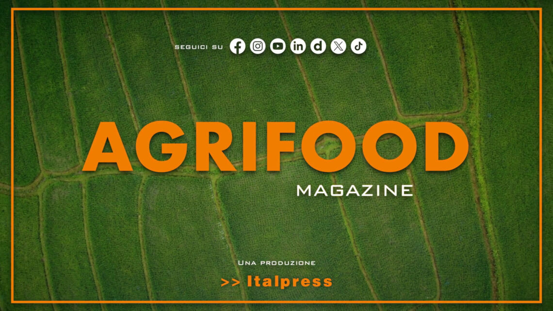 Agrifood Magazine – 16/7/2025