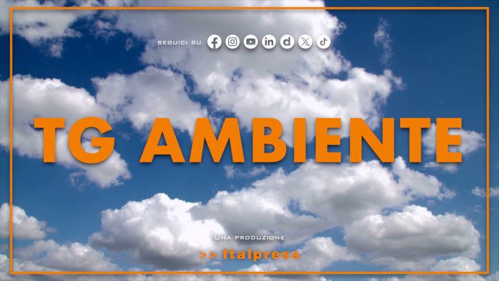Tg Ambiente – 24/5/2026