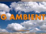 Tg Ambiente – 31/5/2026