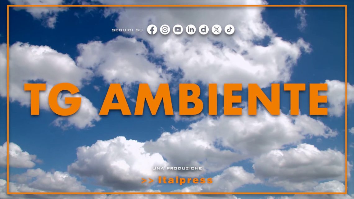 Tg Ambiente – 19/7/2026