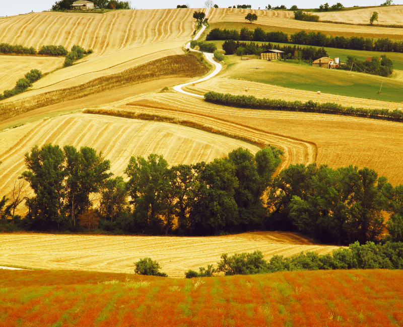 COUNTRYSIDE IN ITALY