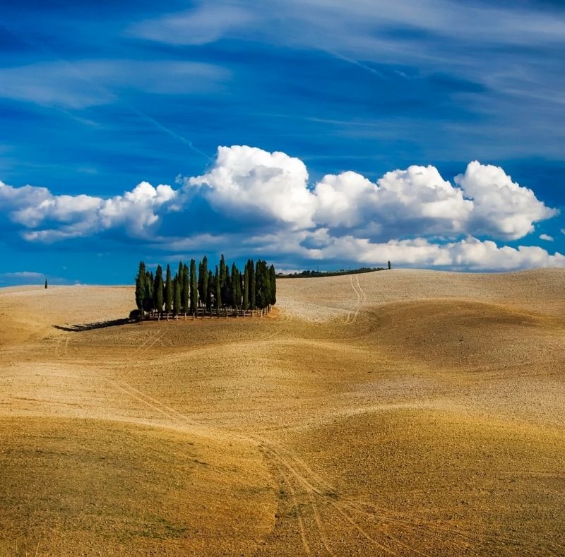 UMBRIA LAND OF OLIVE TREES