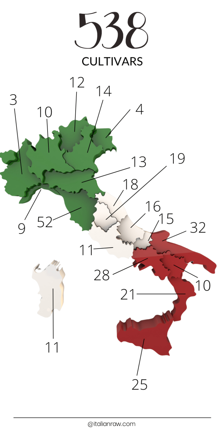 CULTIVARS OF OLIVE TREES IN ITALY