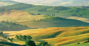 basilicata salento countryside