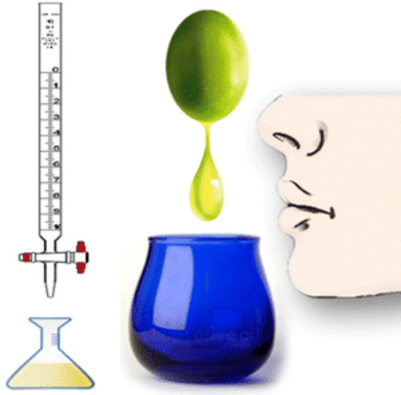 chemical parameters of oliveoil