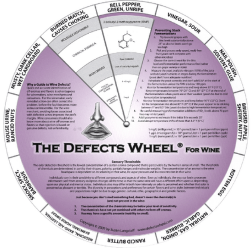 olive oil sensory defects