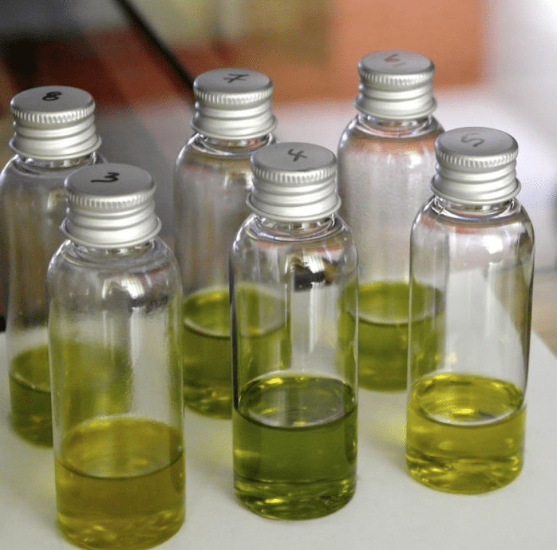 tasting many olive oil samples