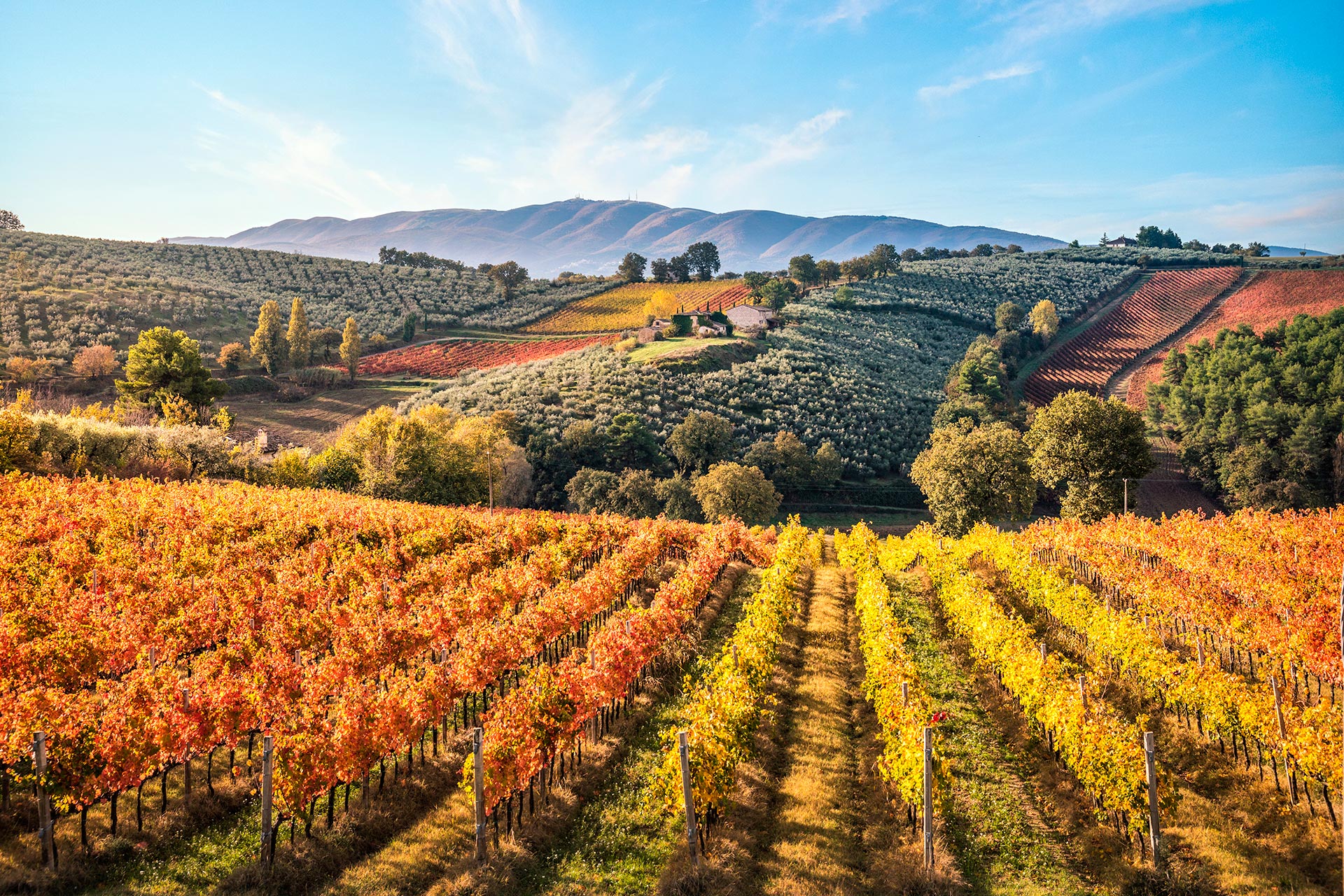 umbria in autumn