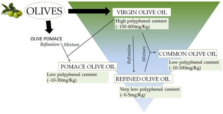 BENEFITS OF OLIVE OIL ON HEALTH