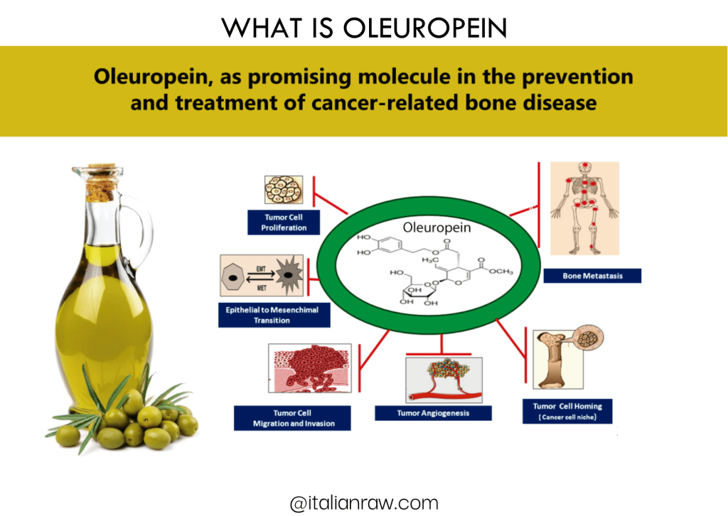 WHAT IS OLEUROPEIN POLYPHENOL