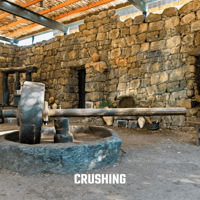 CRUSHING OF OLIVE OIL