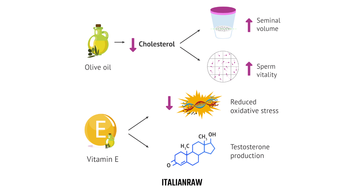 scientific research about olive oil and men fertility