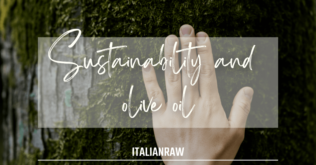 sustainability and olive oil