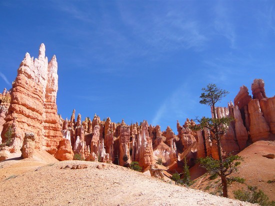 unique geology of Bryce Canon. spires and fins of colored rock called "hoodoos" tower in to a blue sky