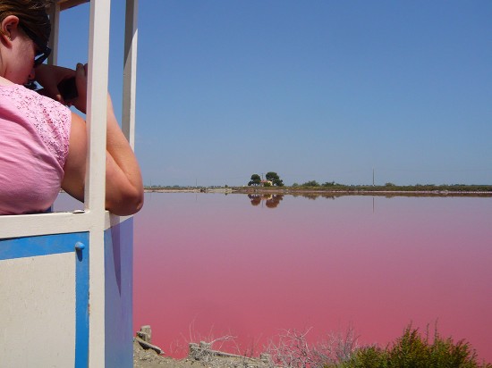 tourist wearing a pink tee shirt taking a photo of a pink lagoon