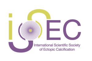 ISSEC logo_adapted.001