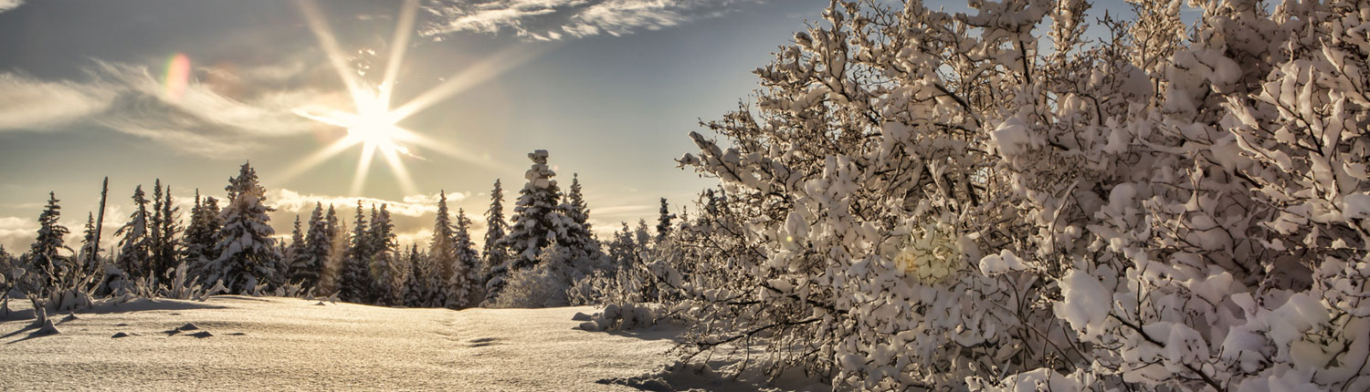 Sunburst over Alaska in Wnter