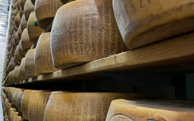 Italian Crafts: Parmigiano Reggiano Dairy Farm Visit