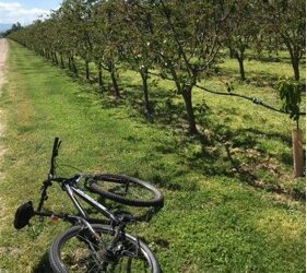 Bike ride along the Casinalbo-Maranello-Montale loop