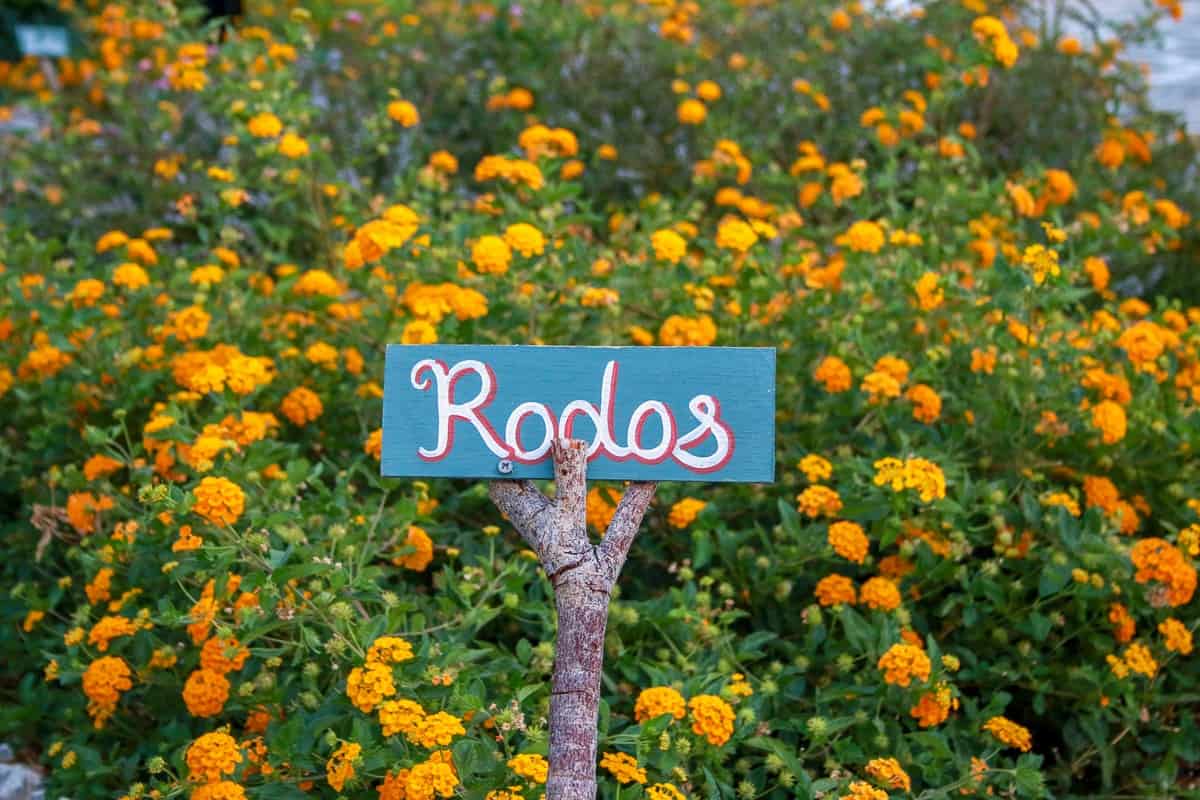 Rhodos - favoriter du inte får missa på ön 15